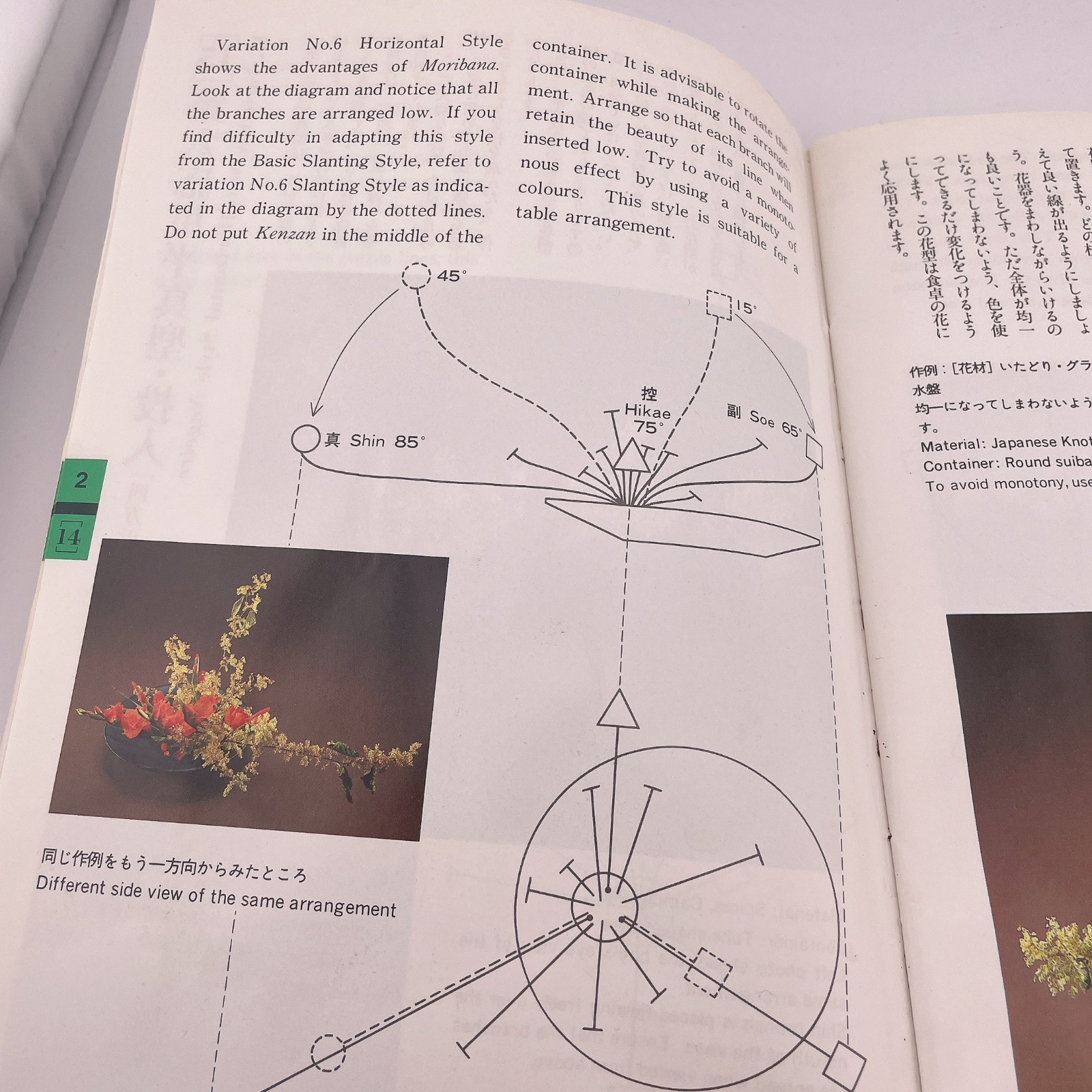 Akane Teshigahara Sogetsu Ikebana Flower Arrangement English/Japan Textbooks1-4