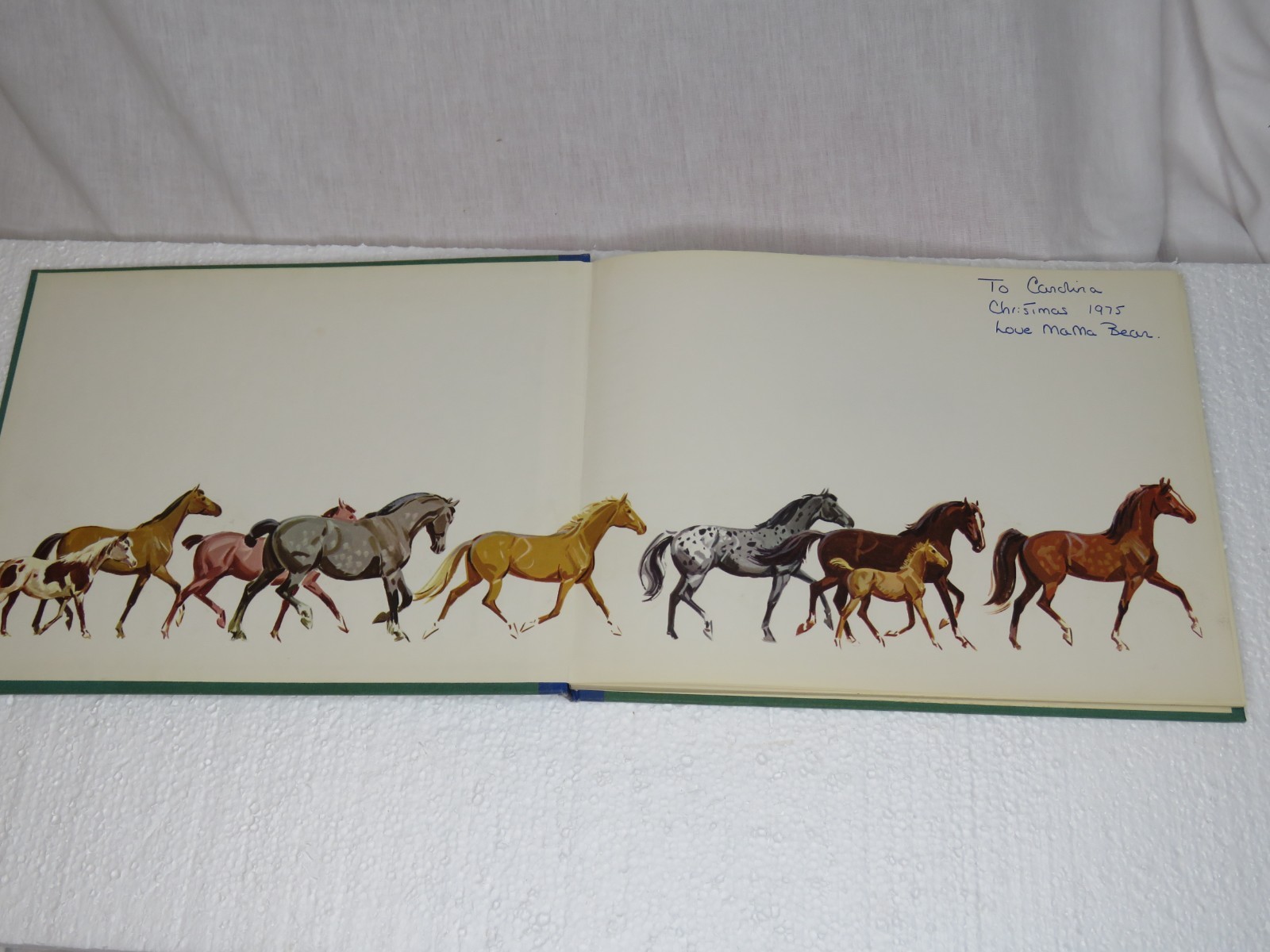 Horse Lithographs Prints Around the World with Horses Book Sam Savitt 1962 HC