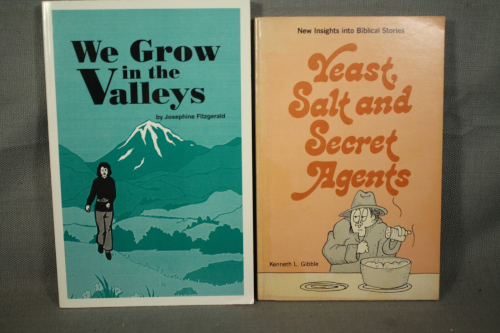lot 5 Christian books We Grow in the Valleys Yeast Salt and Secret Agents Bible