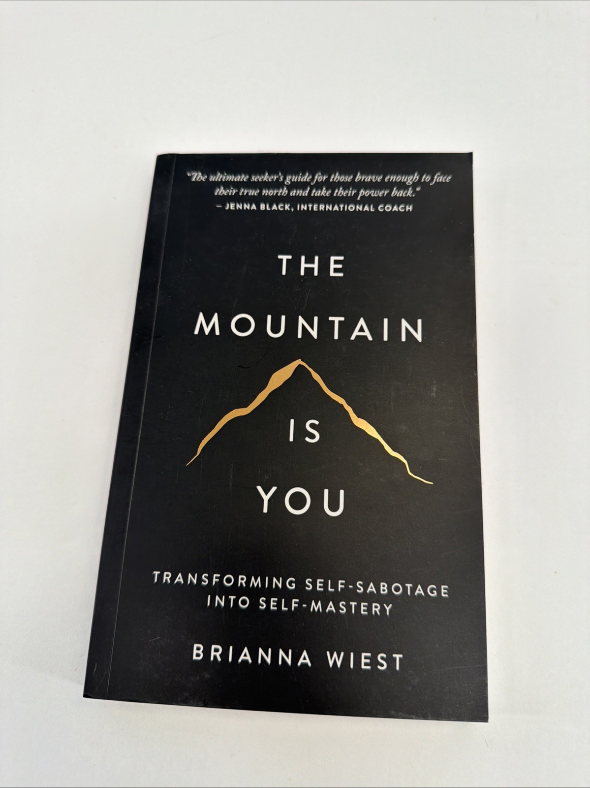 The Mountain is you by Brianna Wiest Paperback Book