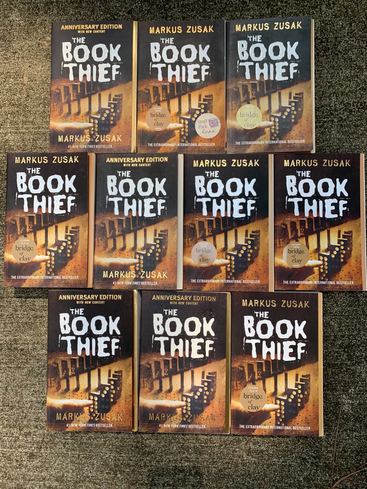 THE BOOK THIEF set Markus Zusak ~ GUIDED READING lot 10