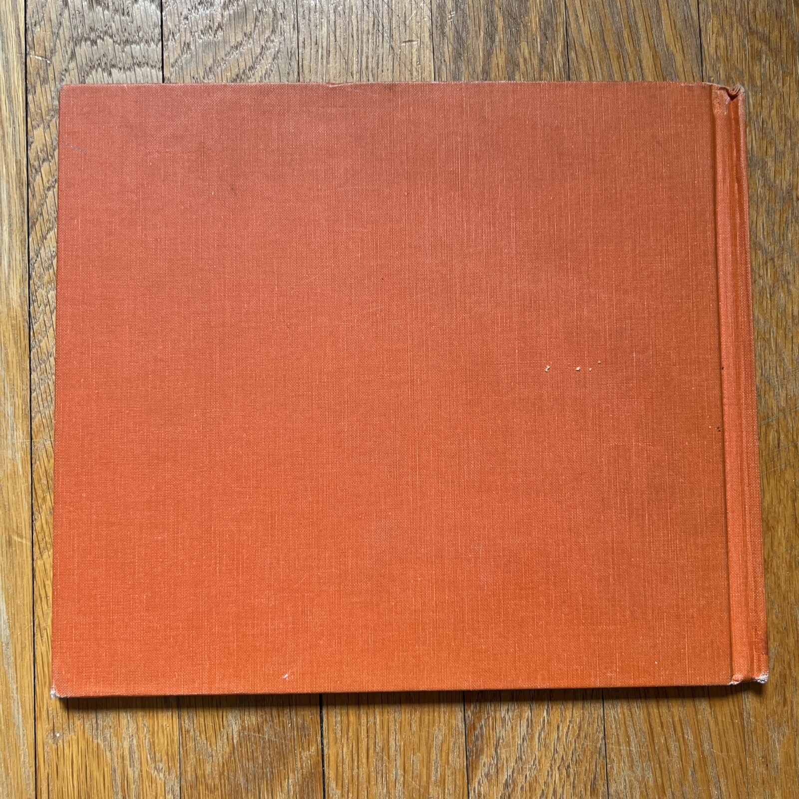 Arrow to the Sun : A Pueblo Indian Tale by Gerald McDermott (1974)