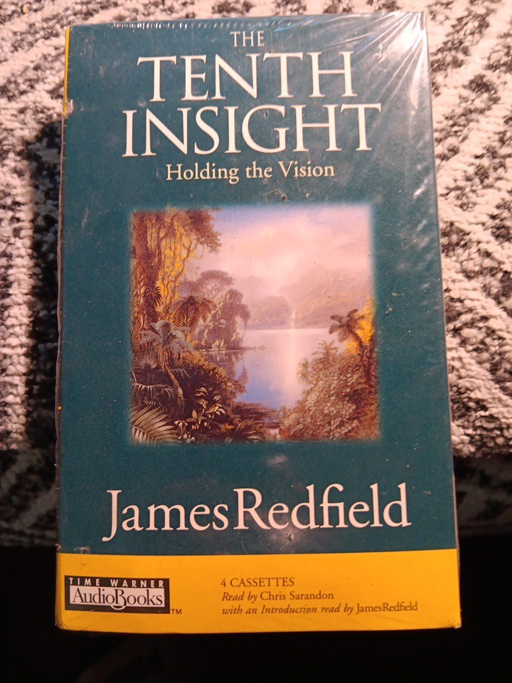 The Tenth Insight : Holding the Vision by James Redfield (1998, Paperback)