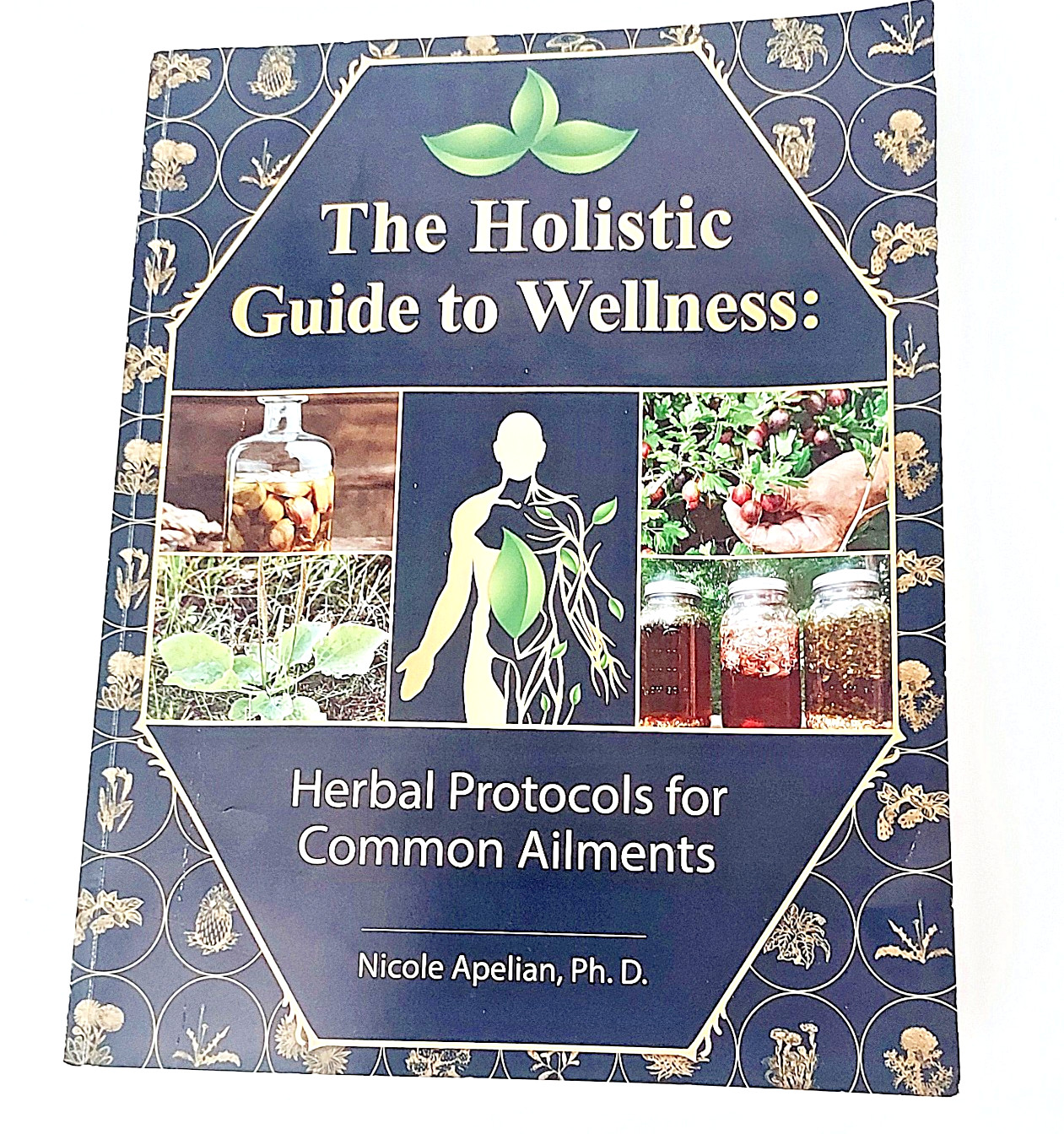 The Holistic Guide to Wellness by Nicole Apelian English Paperback Book