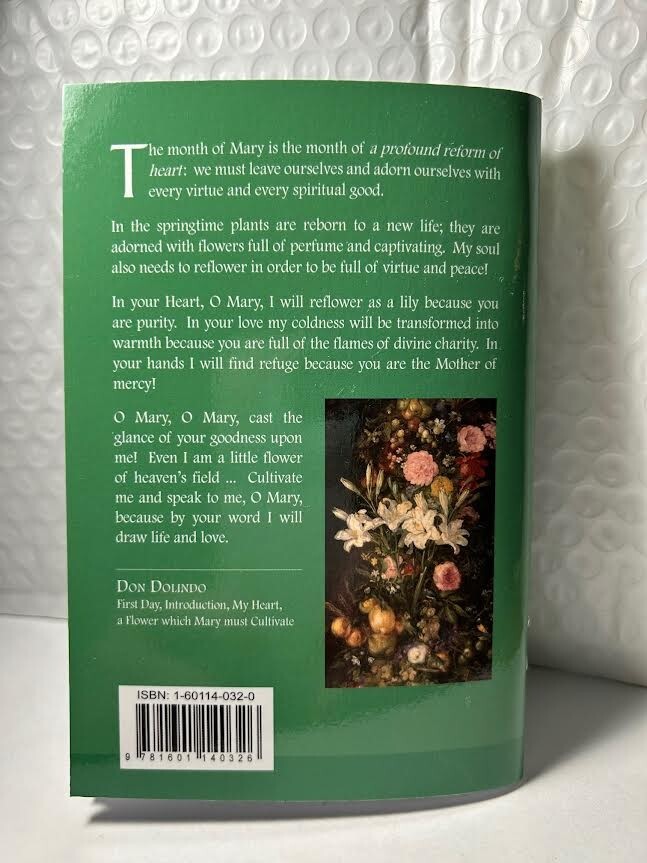 A Month with Mary: Meditations In the School of Mary ( NEW $4 ) Ship for $1.25