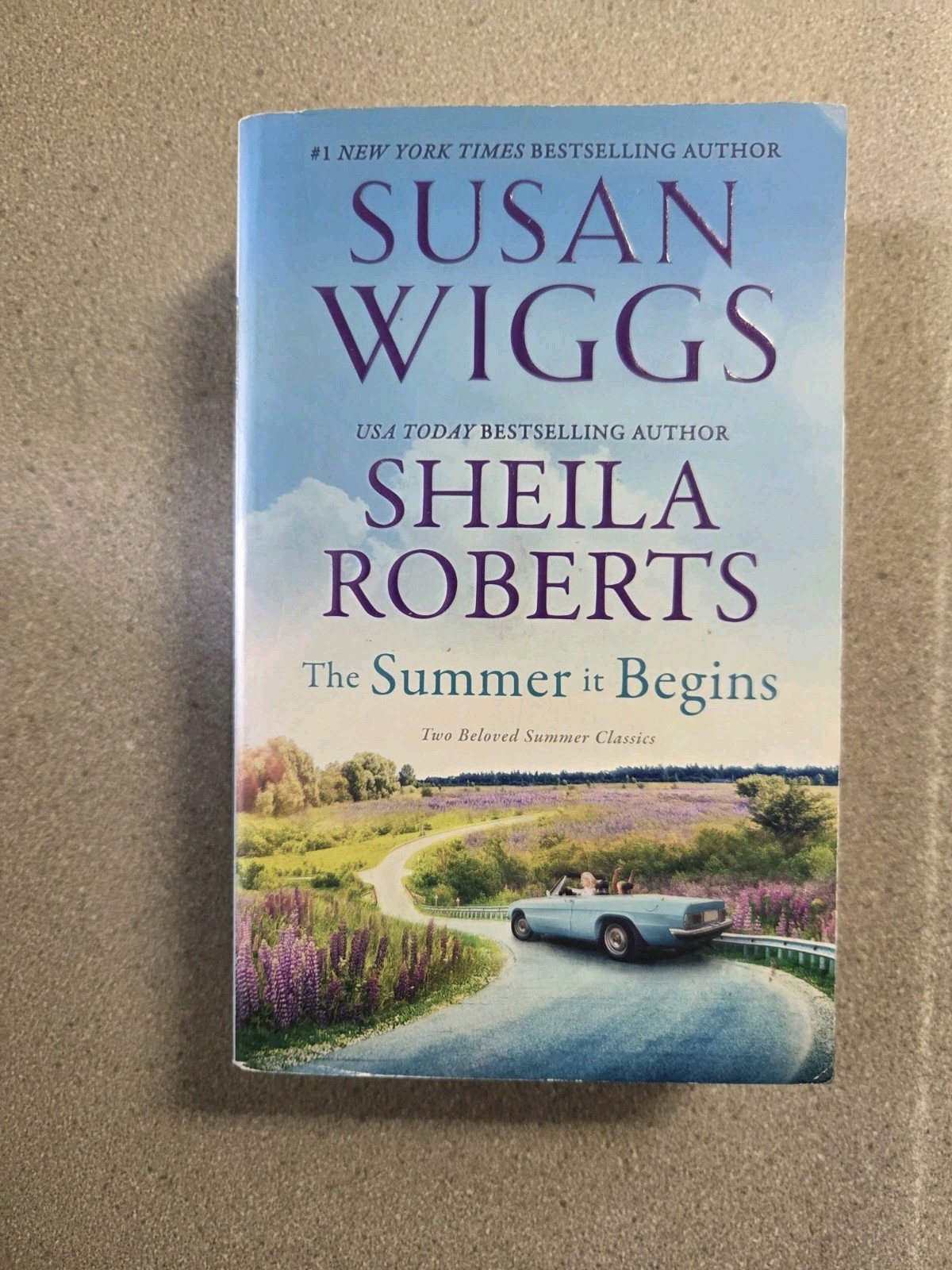 Susan Wiggs Lot Of 9 PB One Is A 2-in-1 With Another Author Total 10 Stories