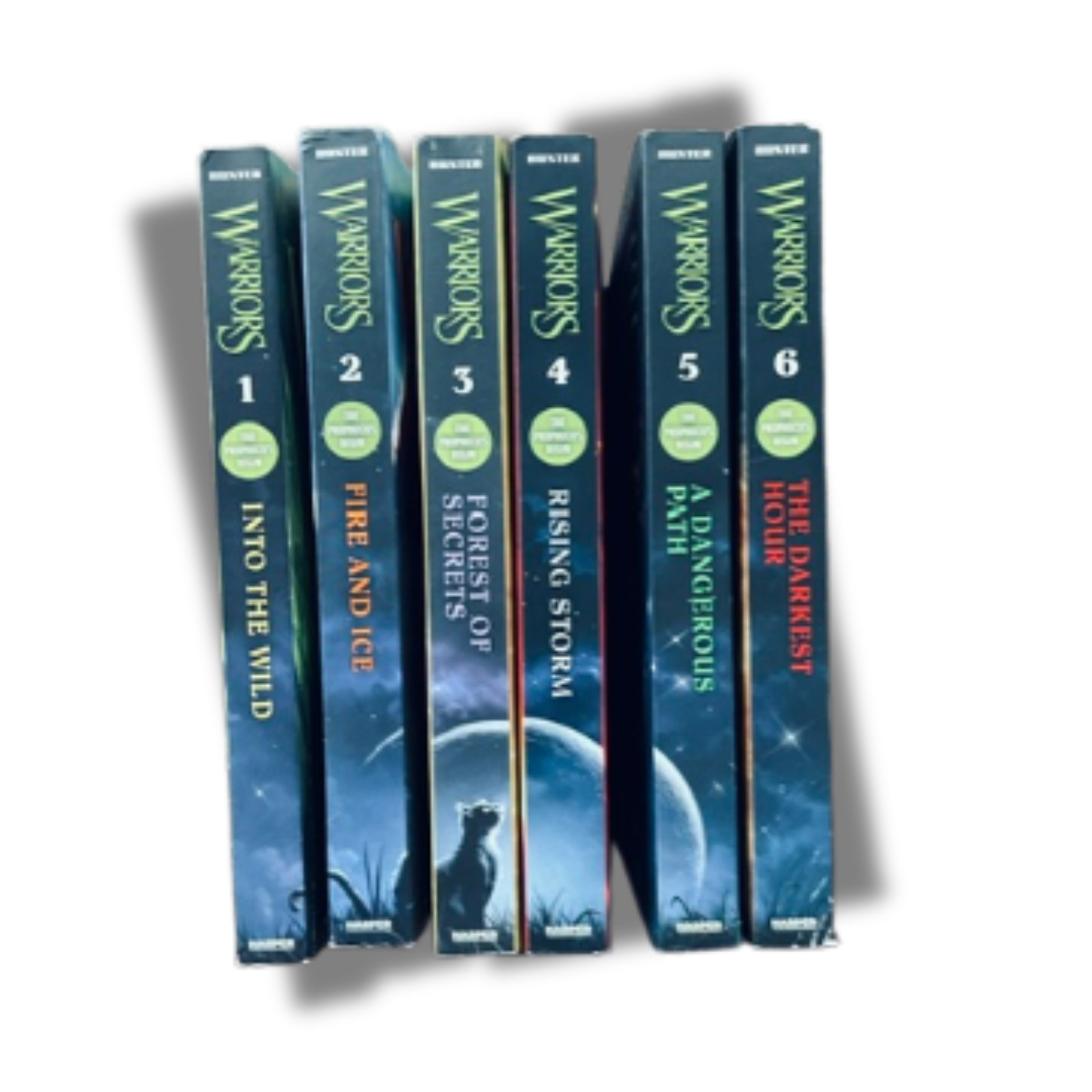 WARRIORS The Prophecies Begin | Complete 6 Book Set | Erin Hunter Fantasy Series