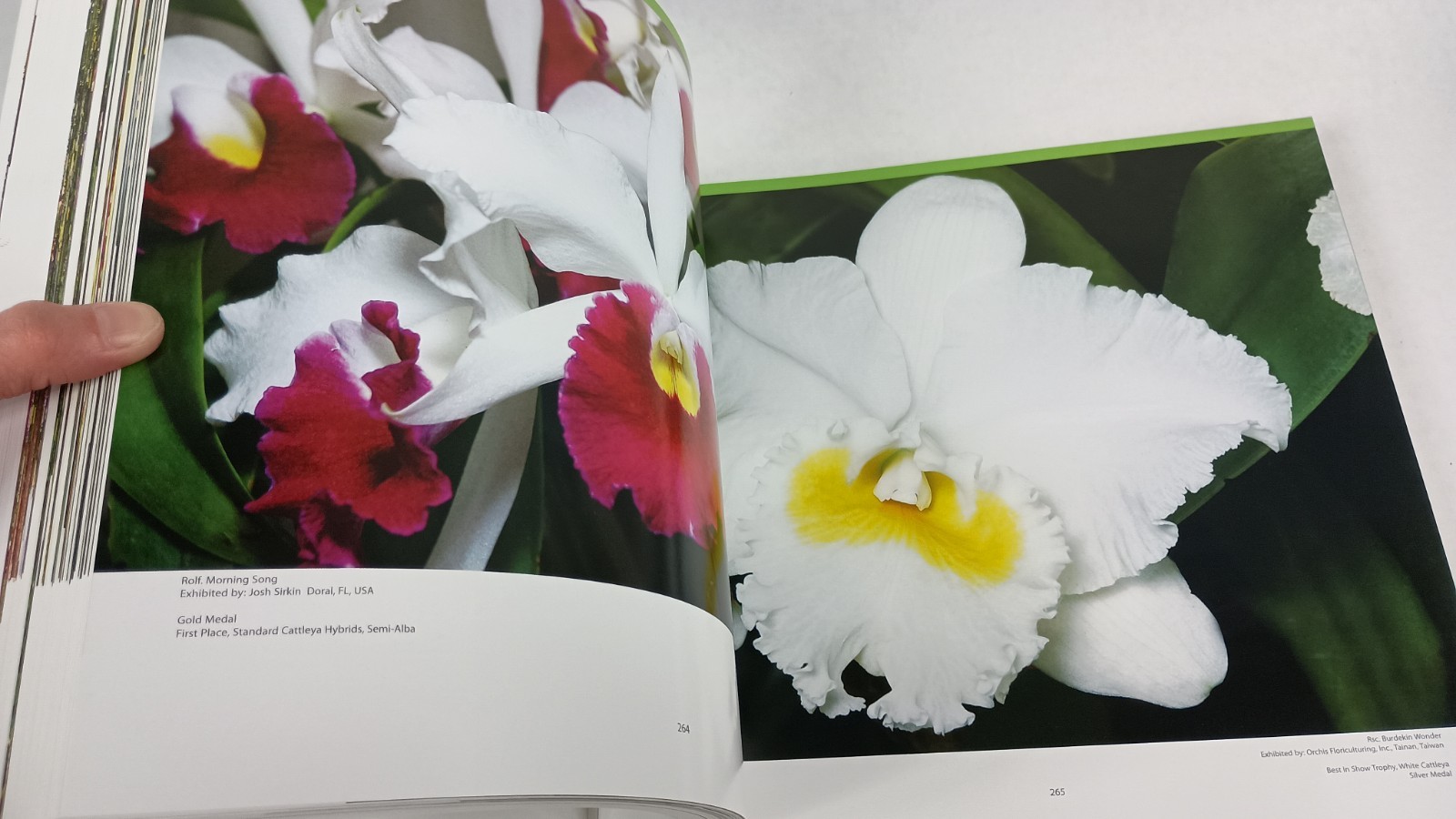 The 19th World Orchid Conference in Miami FL – 2008 (Hardcover Book) 504 Pages