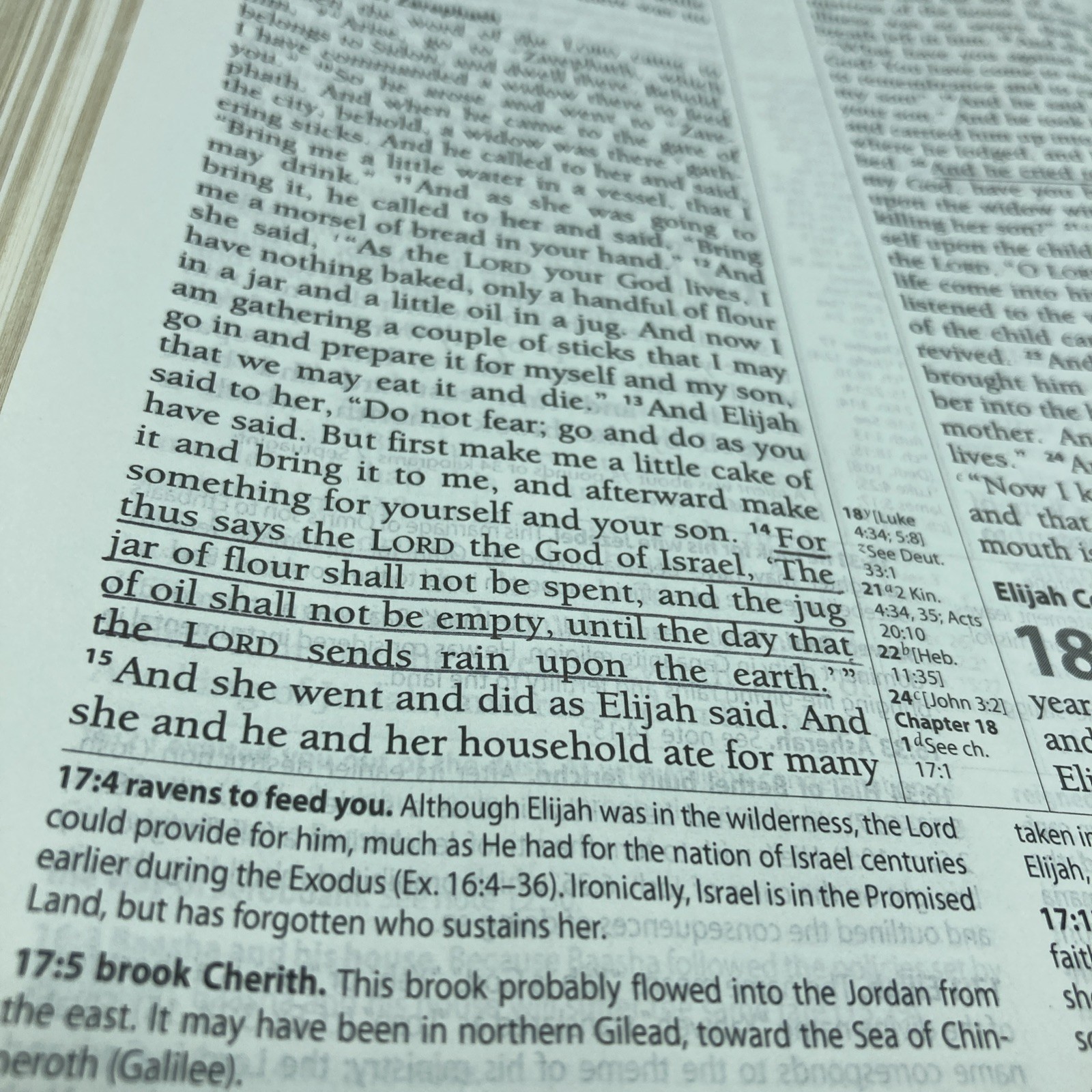 The Reformation Study Bible ESV English Standard Version Ligonier Ministries
