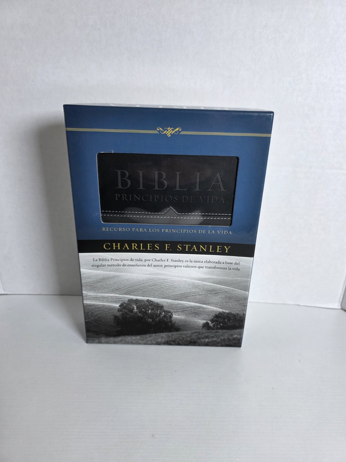 Biblia Principios De Vida