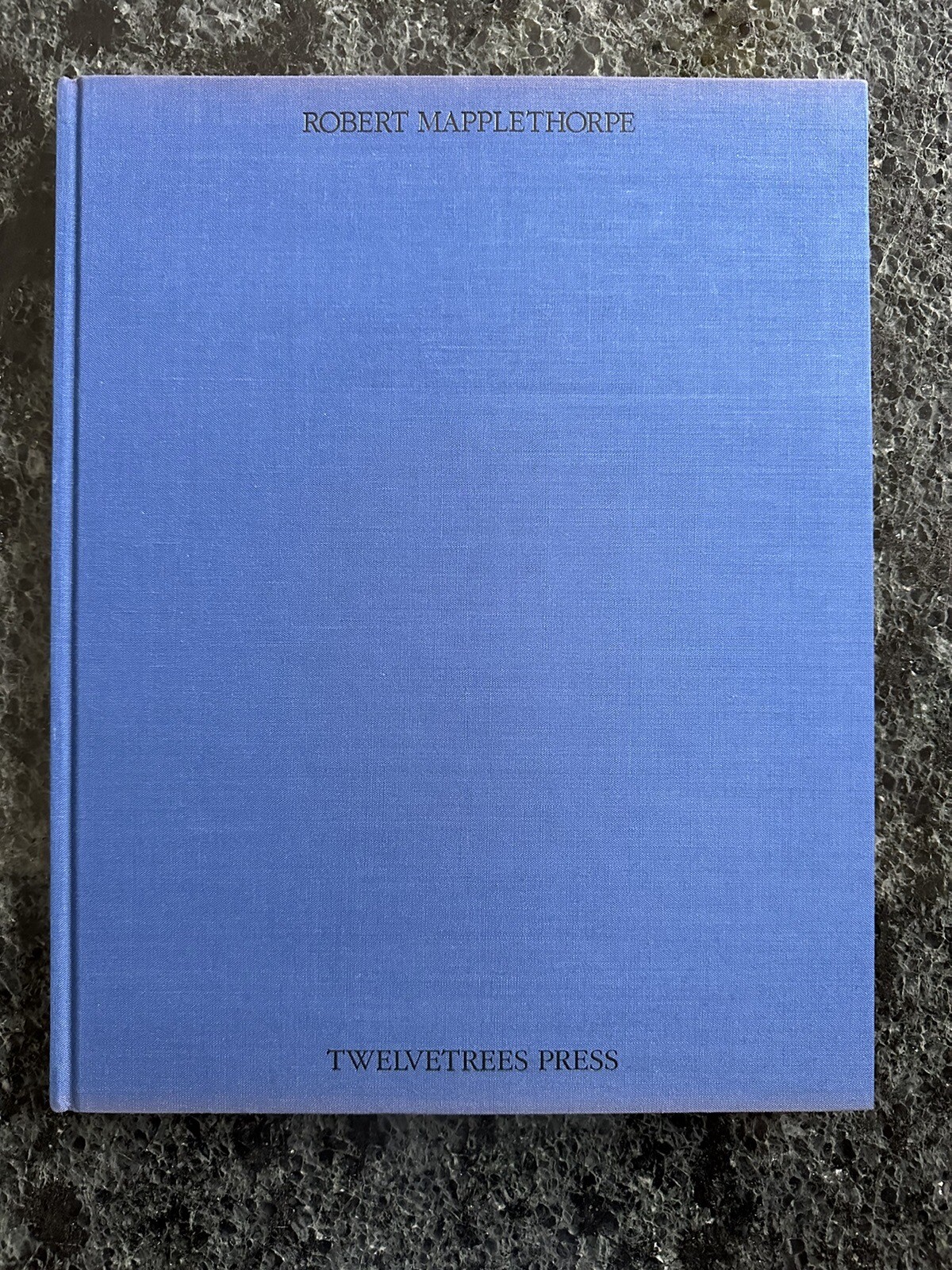 Robert Mapplethorpe Certain People by Susan Sontag 1985 Hardcover