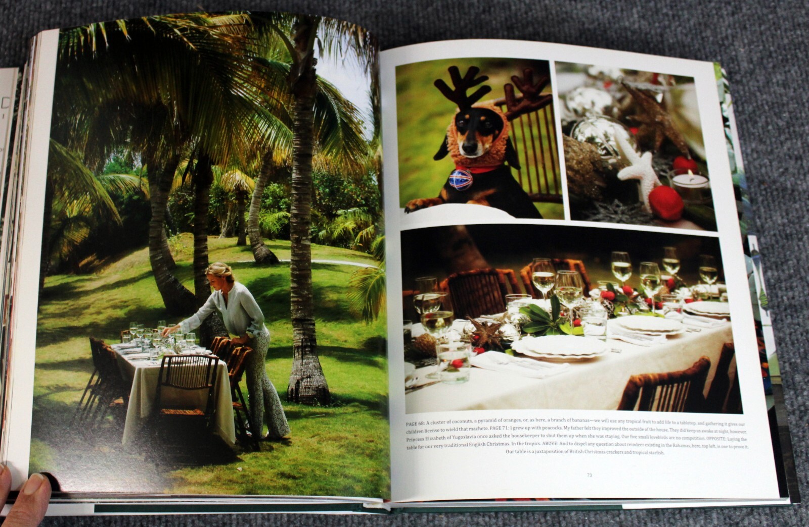 India Hicks: Island Style by India Hicks 2015 HCDJ