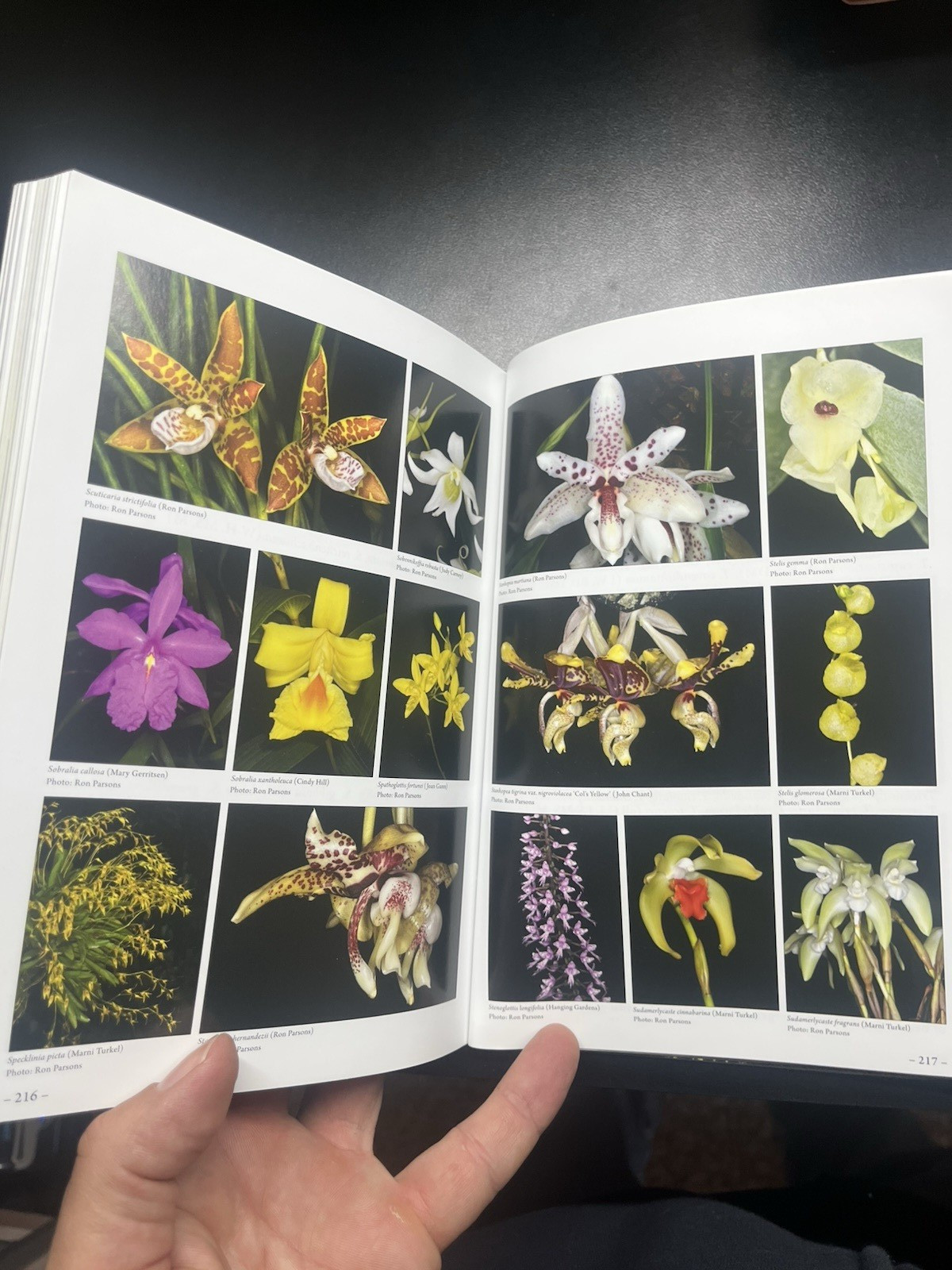 The American Orchid Society Guide to Orchids and Their Culture (2019, PB, VG)