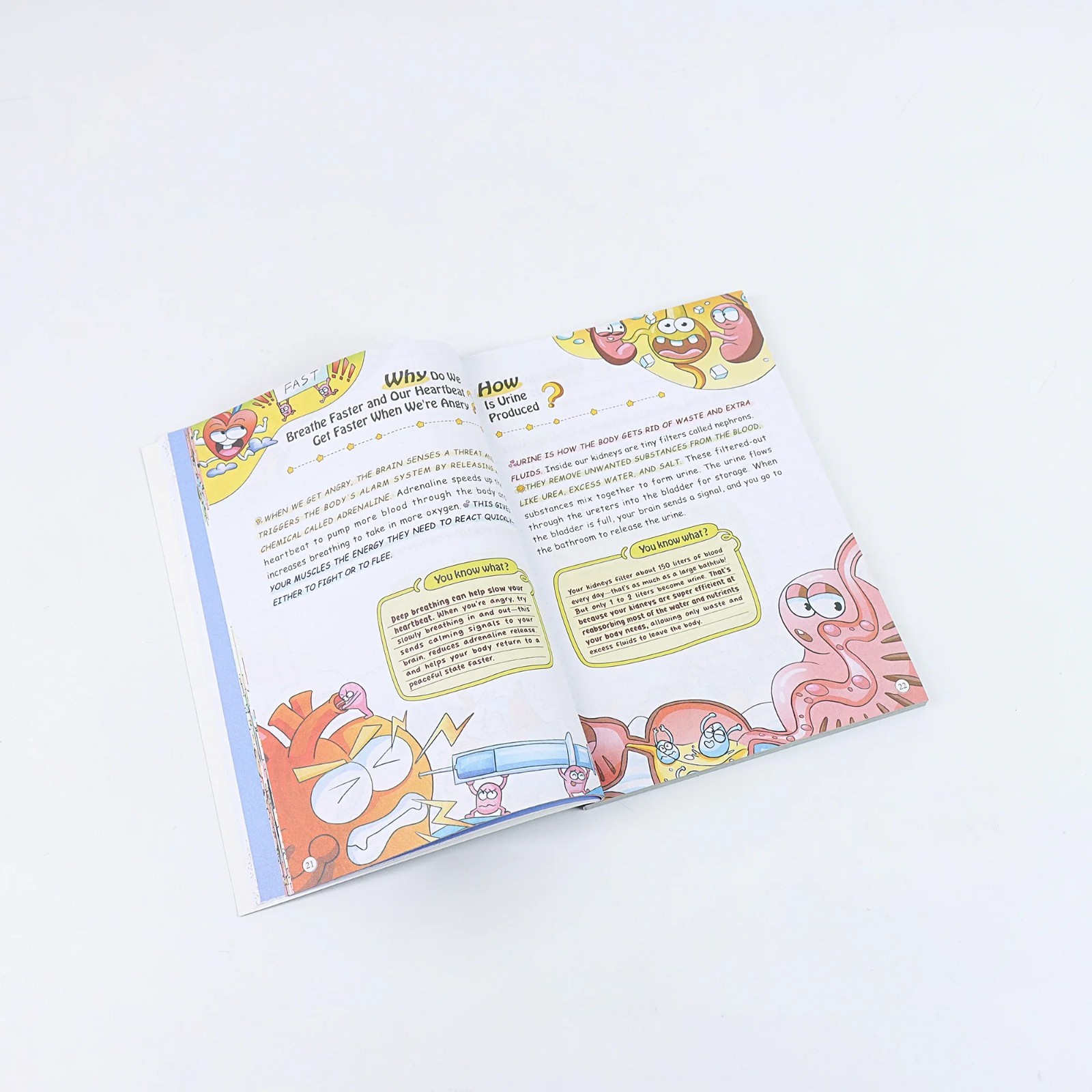 100,000 Whys Kids Science Book Building the Ultimate Brain Fun Learning