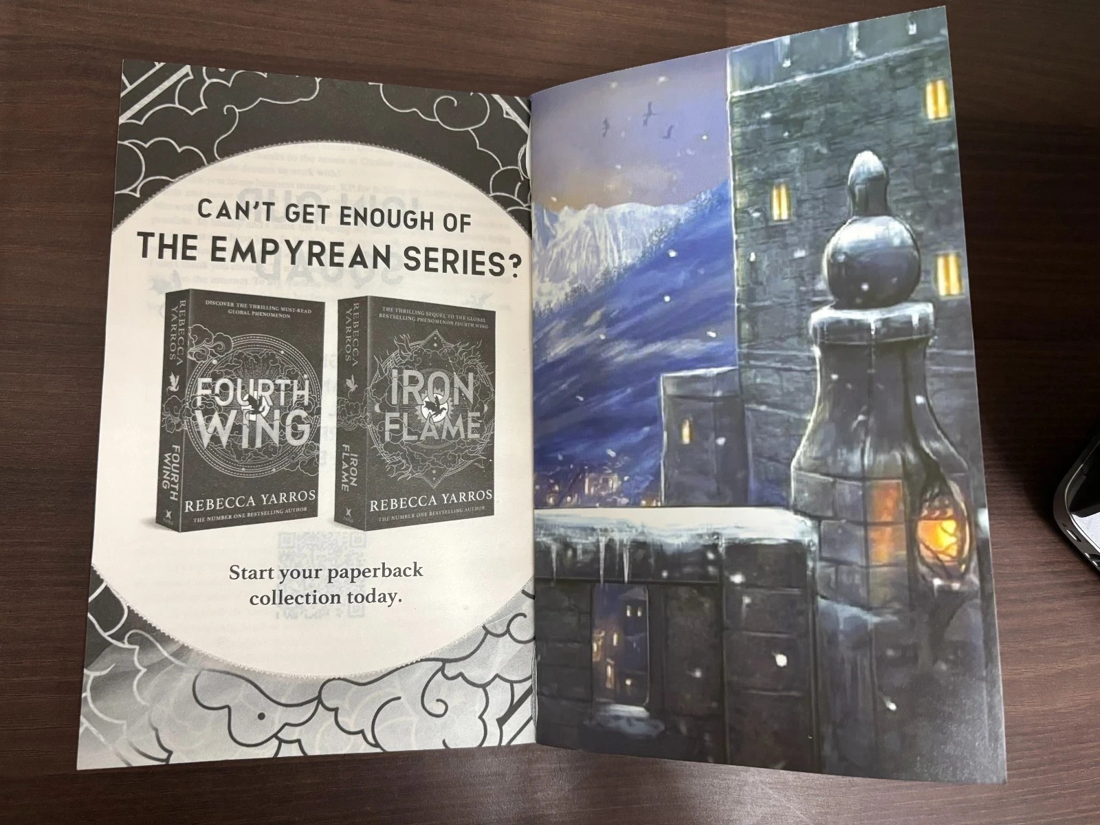 PERFECT BOOK GIFT FOR CHRISTMAS_ „Onyx Storm“