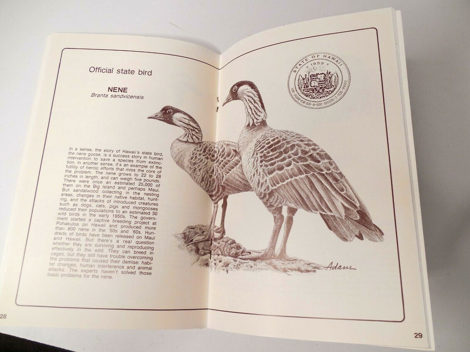 WILDLIFE of HAWAII Booklet 56 pages by Jan TenBruggencate 1986 First Edition