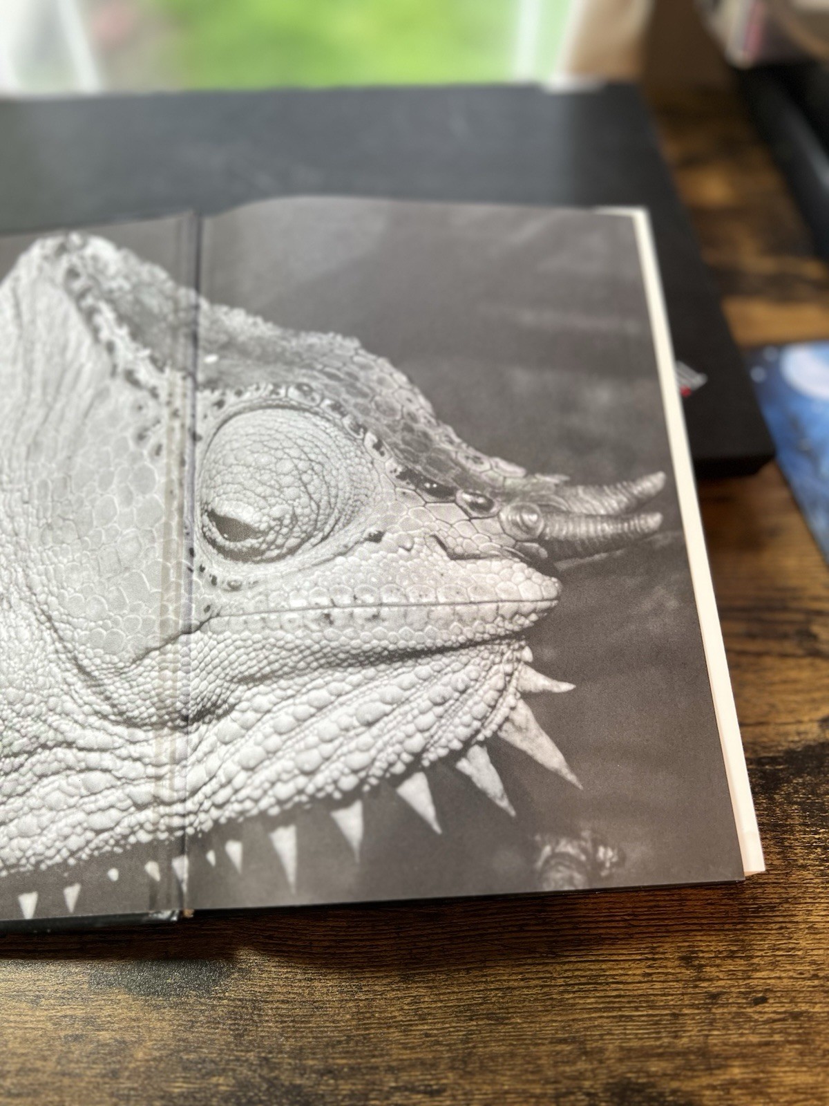 Chameleons : Nature’s Hidden Jewels by Petr Necas (Hardcover) First Edition S2