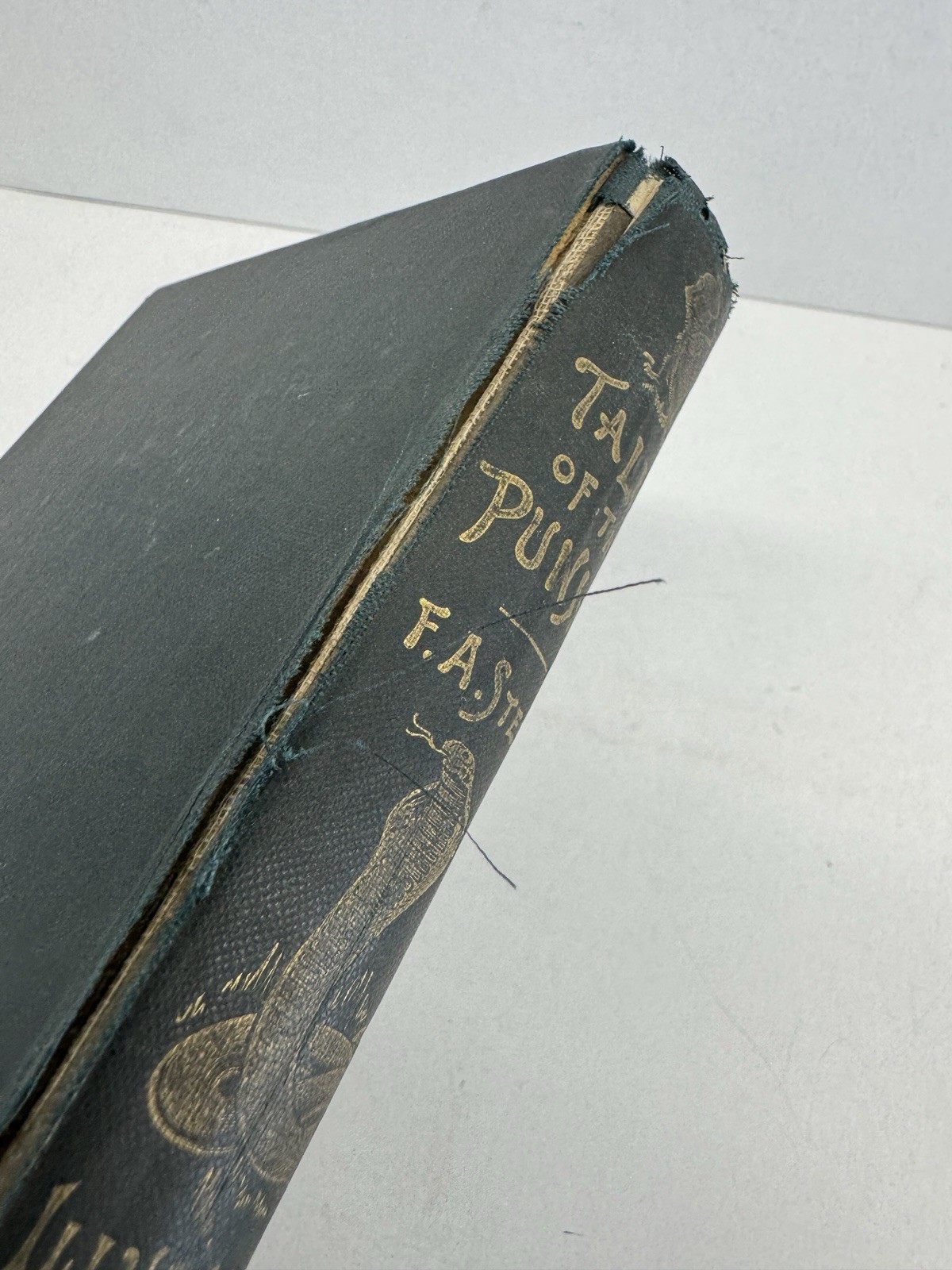 Tales of the Punjab Told by the People – Flora Annie Steel (1894)