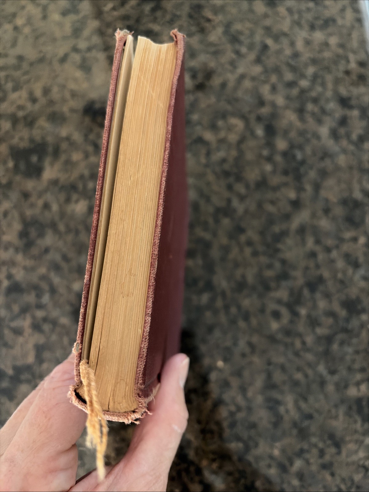 Uriah Smith- Here And Hereafter A Gift Of God Is External Life. Antique HC