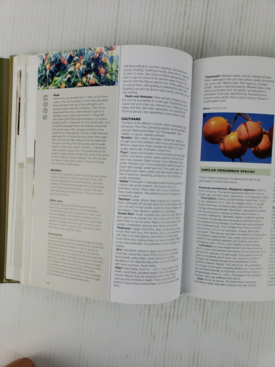 Fruit and Nuts : A Comprehensive Guide to the Cultivation, Uses and Health