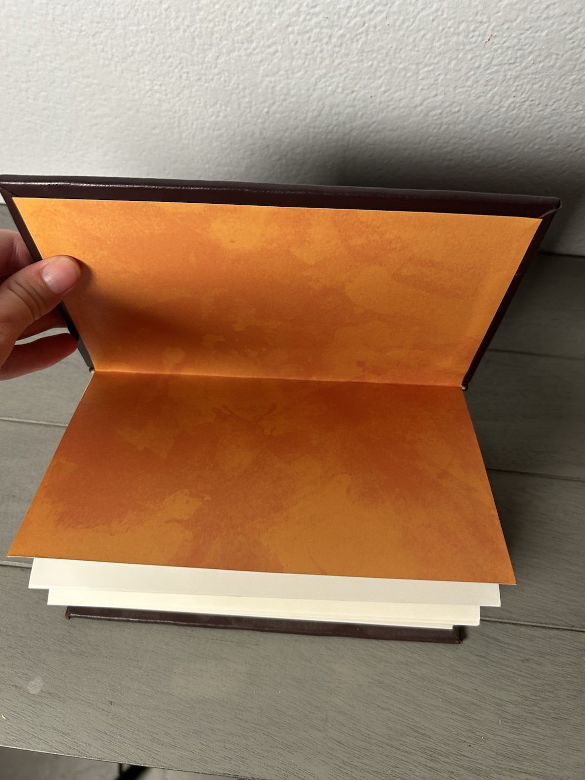 His Dark Materials Rare Edition Leather bound Knopf Borzoi Everyman 2011