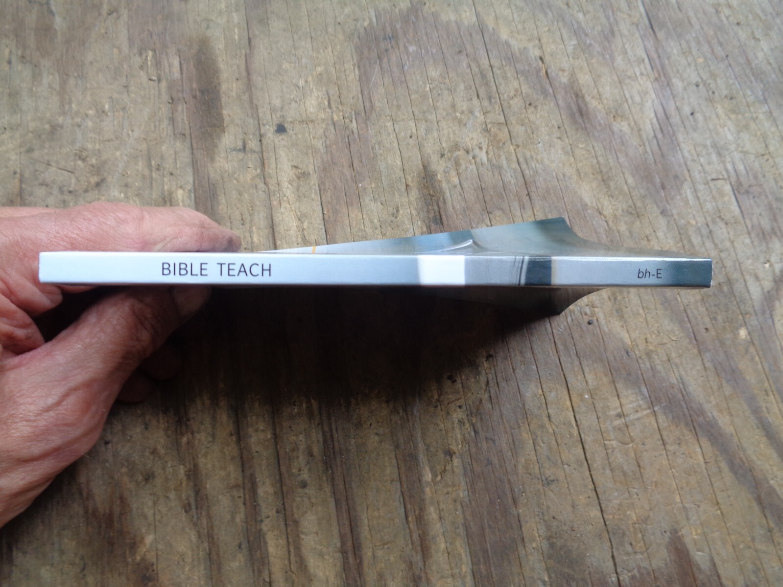 „WHAT DOES THE BIBLE REALLY TEACH?“. 2016. 223 pages. Paperback. Watchtower