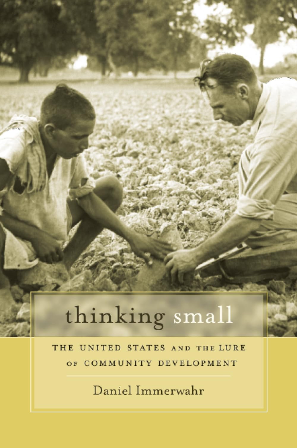 Thinking Small: The United States and the Lure of Community Development