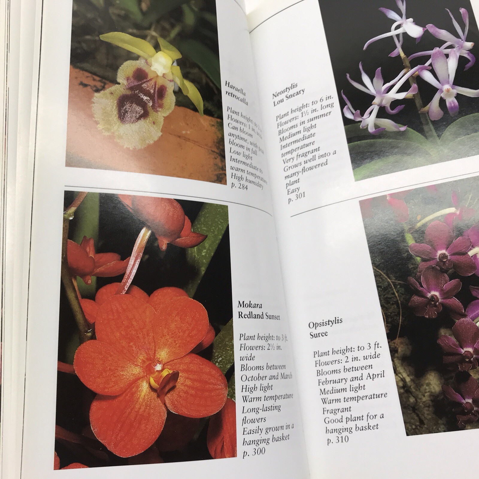 Taylor’s Guide to Orchids~1996~Judy White~Ex Library