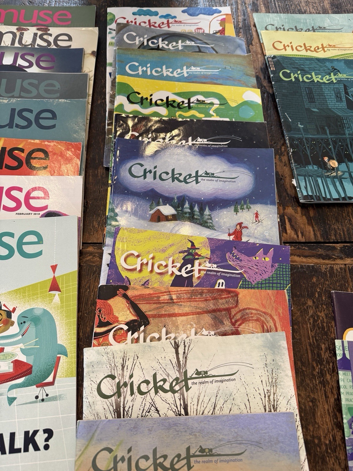 Cricket Muse Dig Cicada Spider Educational Mags 2010s Lot Of 33 Homeschool