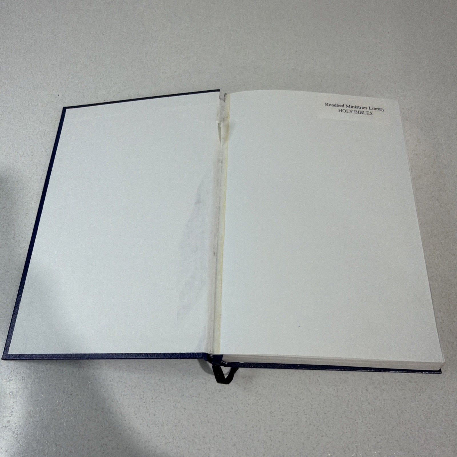 Freedom in Christ Bible by Zondervan Staff Blue 2001 Paint Splatter On Book