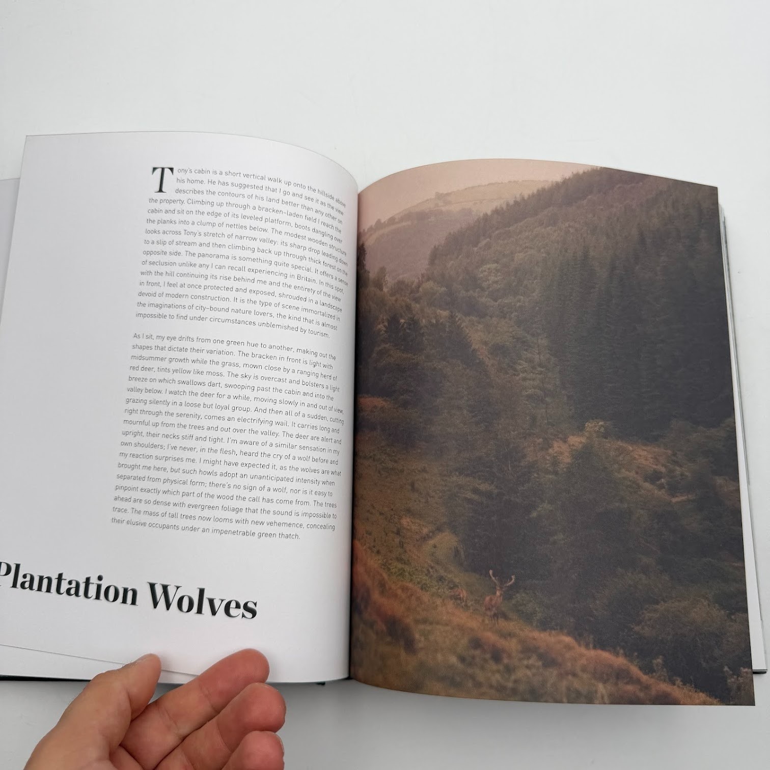 Forest by Matt Collins (2020, Hardcover) Tree Photography Book, Nature and World