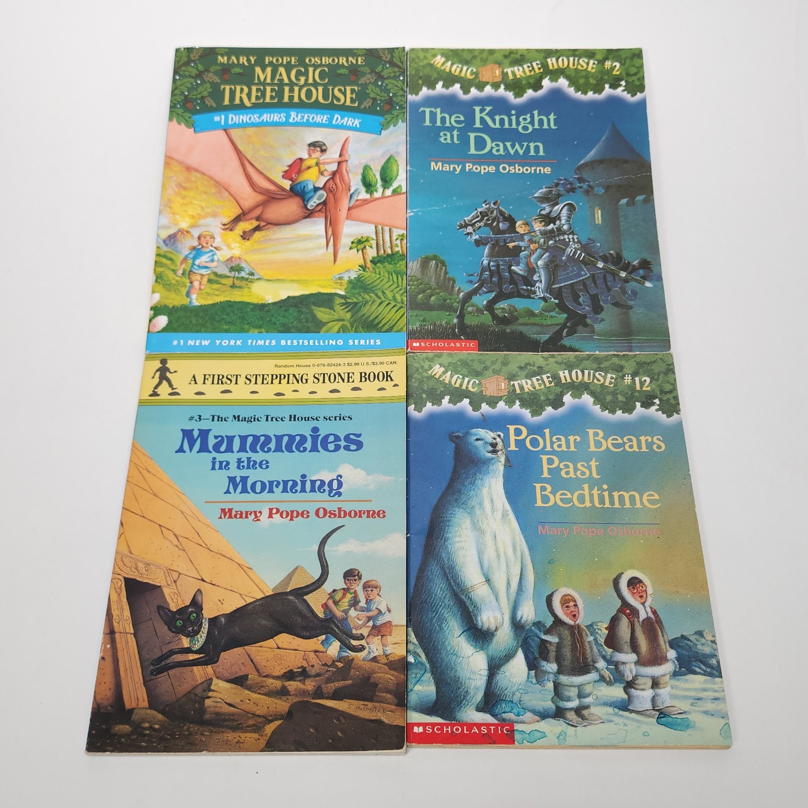 Lot of 12 Magic Treehouse Fact Tracker Non-Fiction Book Historical Fiction Books