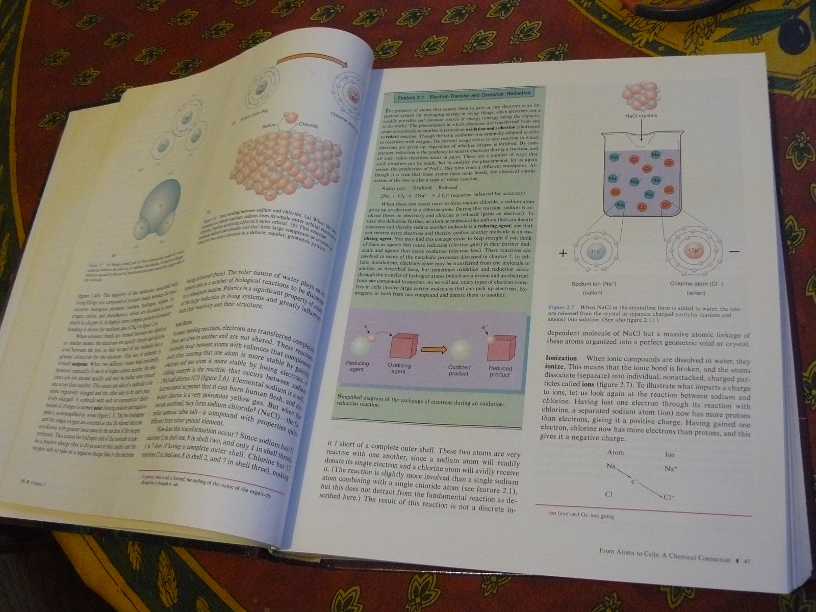 Foundations in Microbiology by Arthur Talaro and Kathleen Park Talaro 832 pages