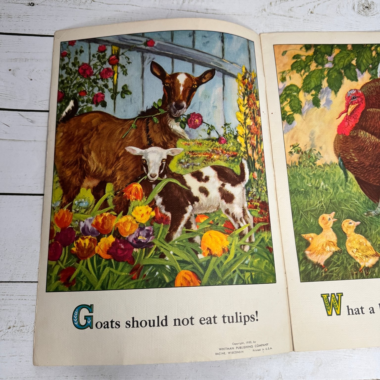 On the Farm Picture Book 1950 Whitman Publishing Vintage Children’s Farm Animals