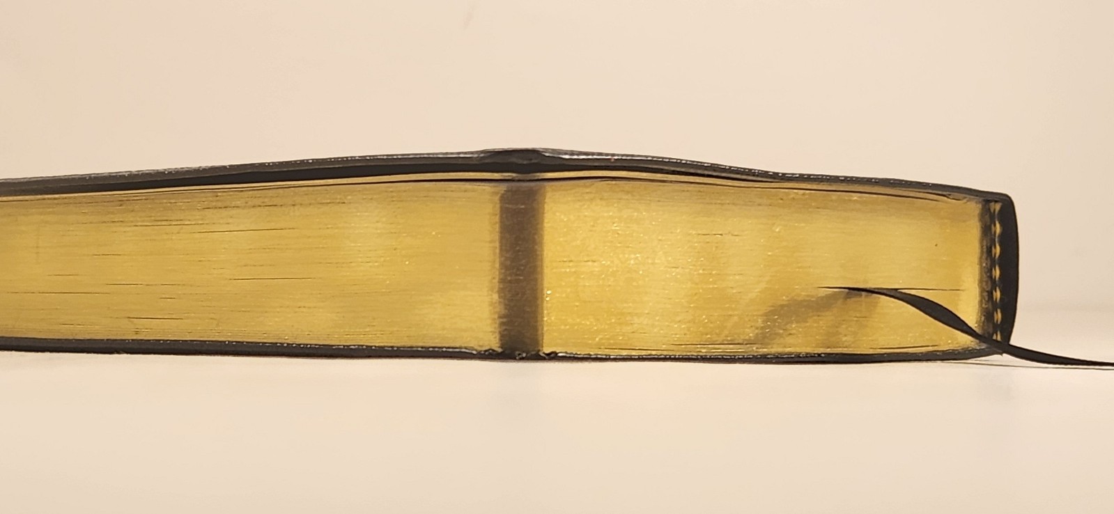 Evidence New Testament-OE-Psalms and Proverbs by Ray Comfort Leather Pocket Ed.