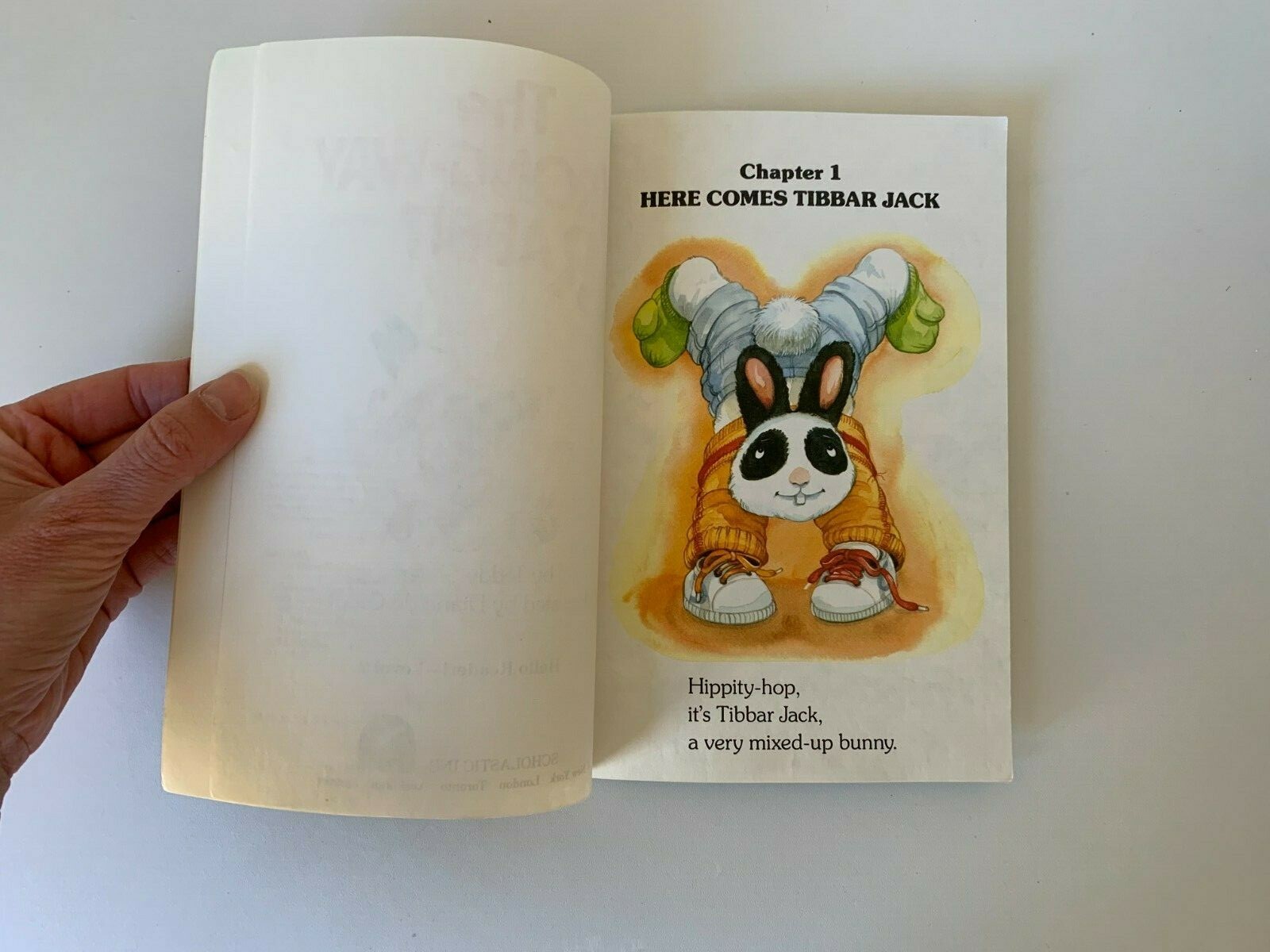 The Wrong-Way Rabbit (Hello Reader Level 2) by Teddy Slater (PB 1993) book