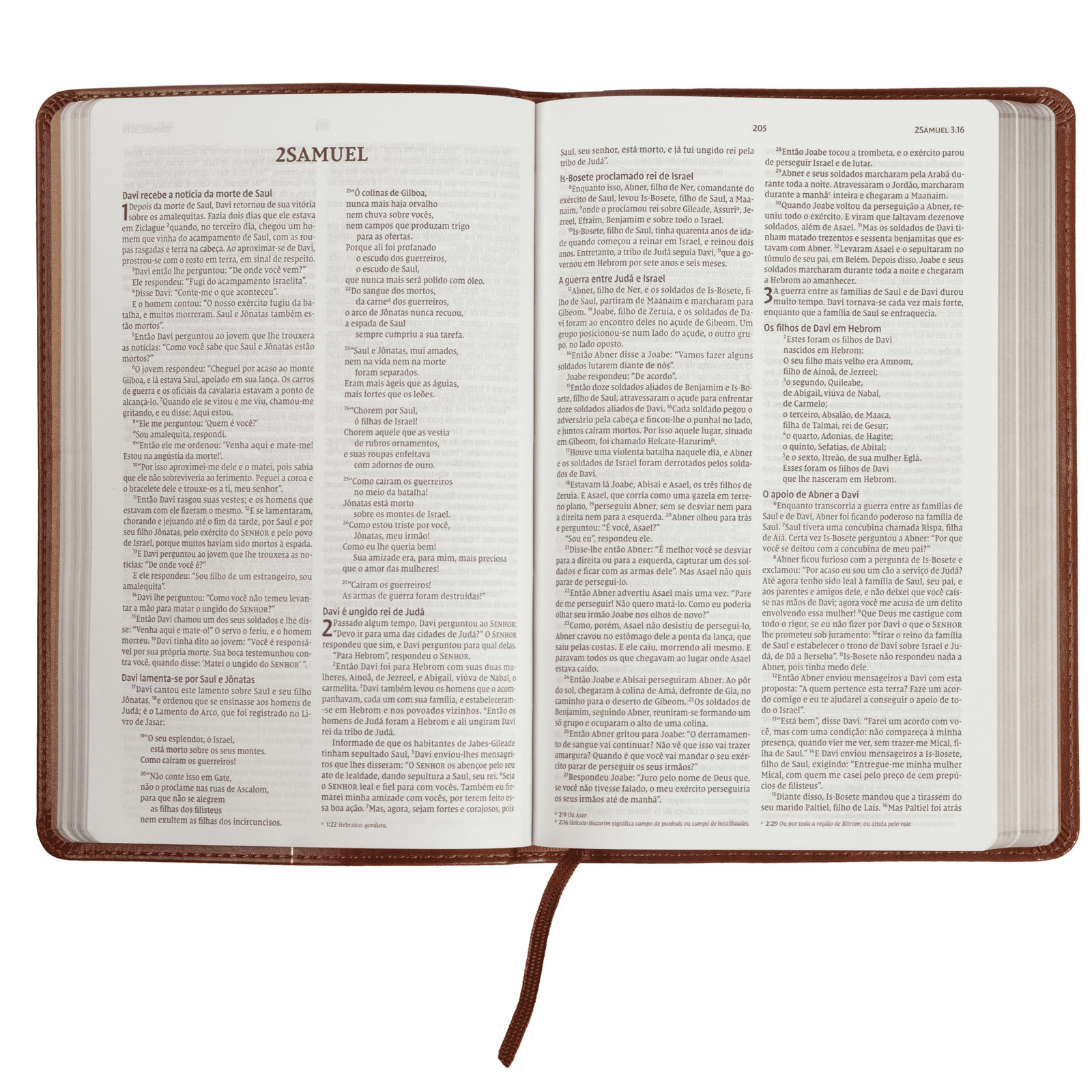 Biblia Sagrada: NVI – Capa: Couro Soft – Letra: Gigante (Em Portugues do Brasil)