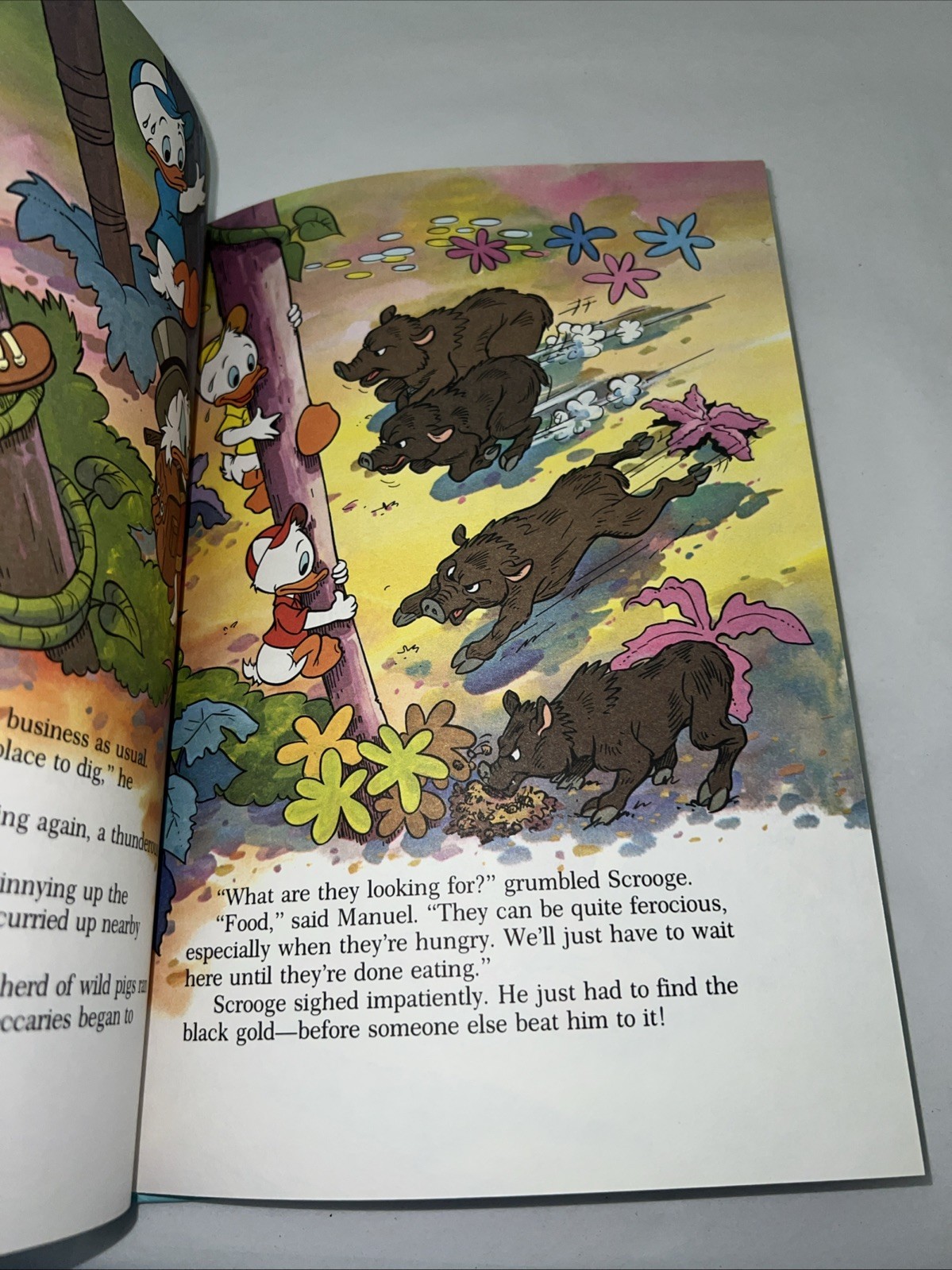 Disney Small World Library Riches In The Rain Forest An Adventure In Brazil Hard