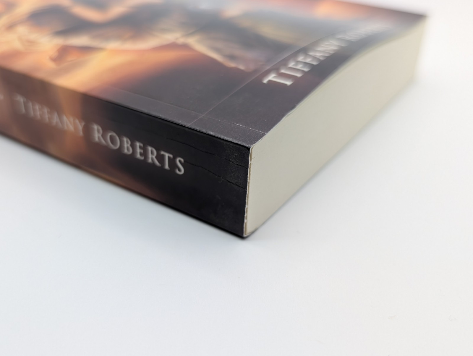 Dustwalker by Tiffany Roberts (2017, Trade Paperback) *SIGNED*