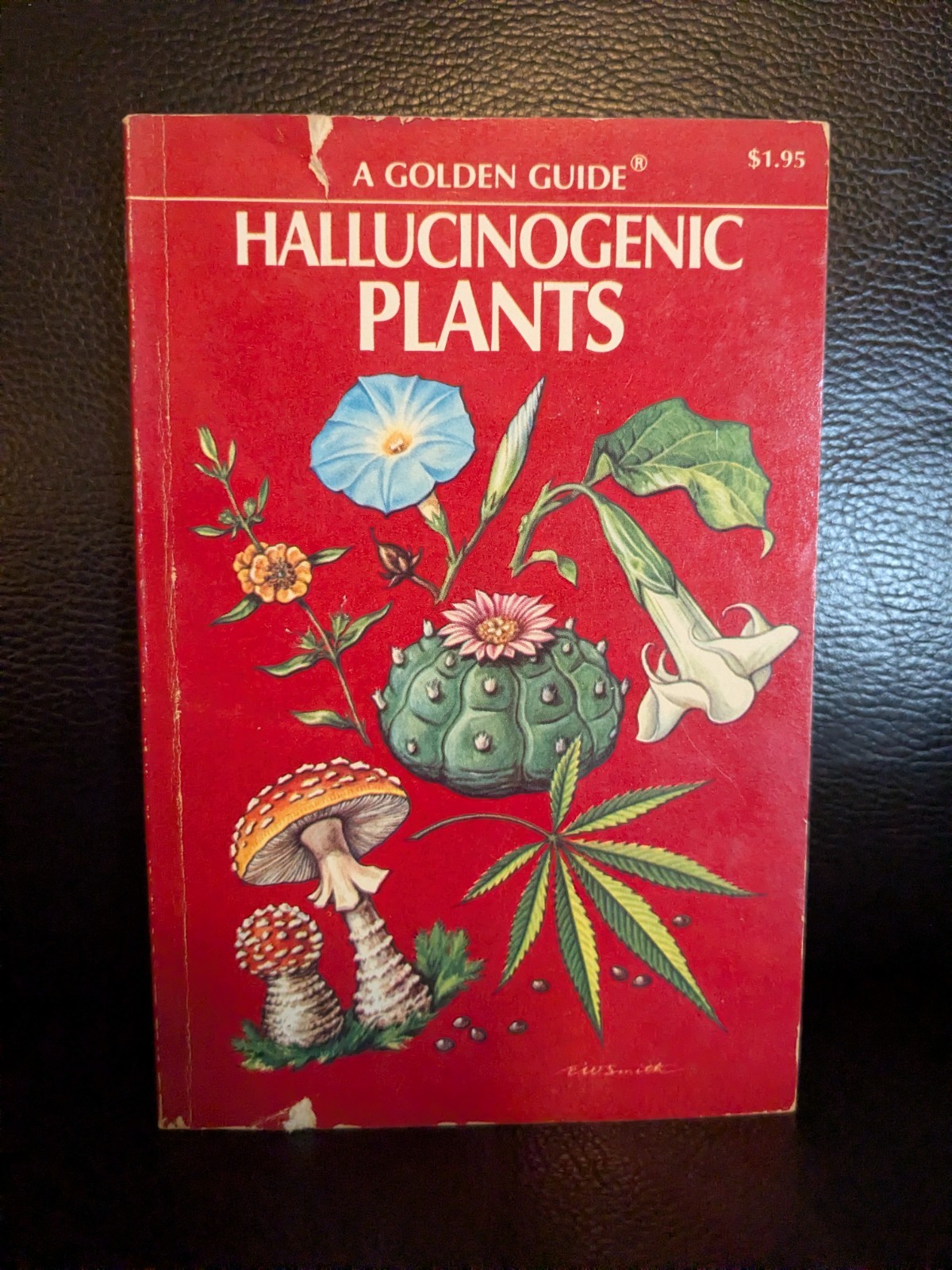 FIRST EDITION! Golden Guide – Hallucinogenic Plants