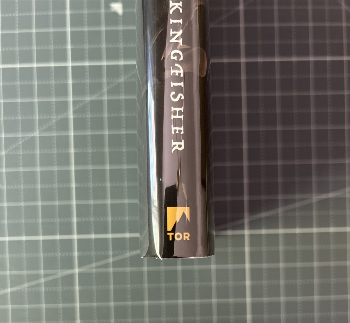 Nettle and Bone – T. Kingfisher 1st Edition 1st Print – FINE