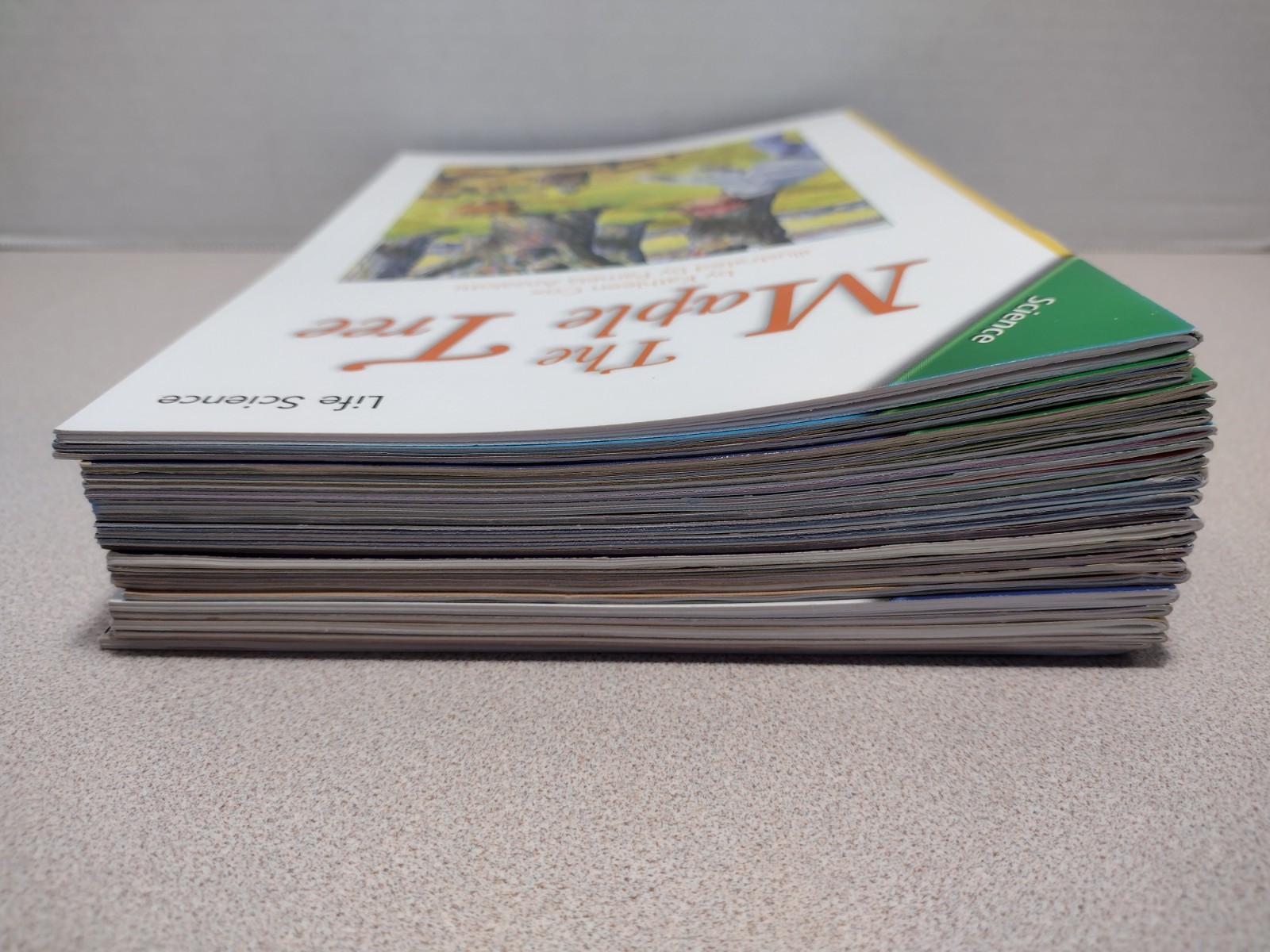 Scott Foresman Reading Street Grade 4 Lot of 22 Science, Social Studies, Reading
