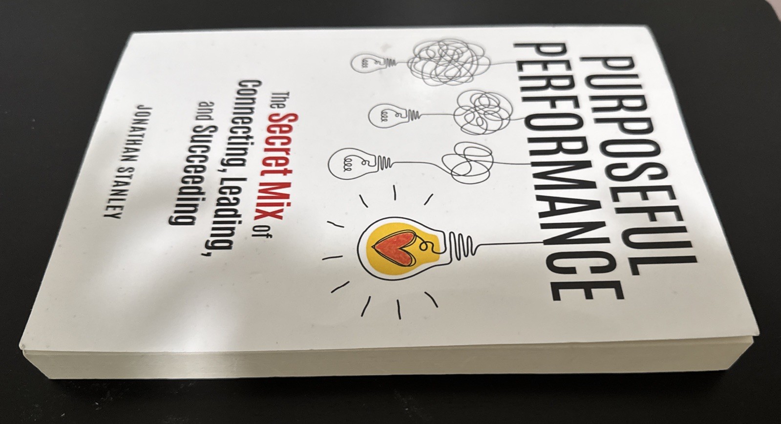 Purposeful Performance: The Secret Mix of Connecting, Leading & Succeeding New