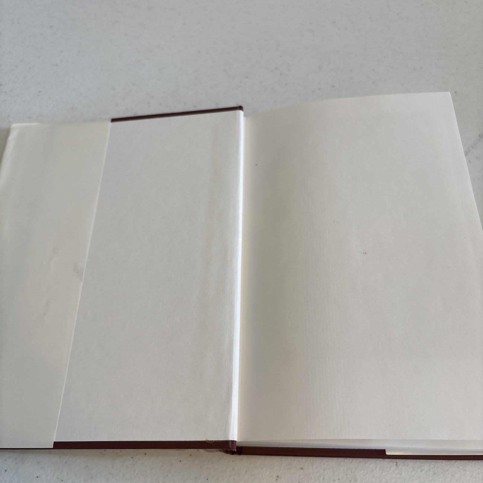 Rightly Dividing the Word – Clarence Larkin – Illustrated Hardcover – Dispensati