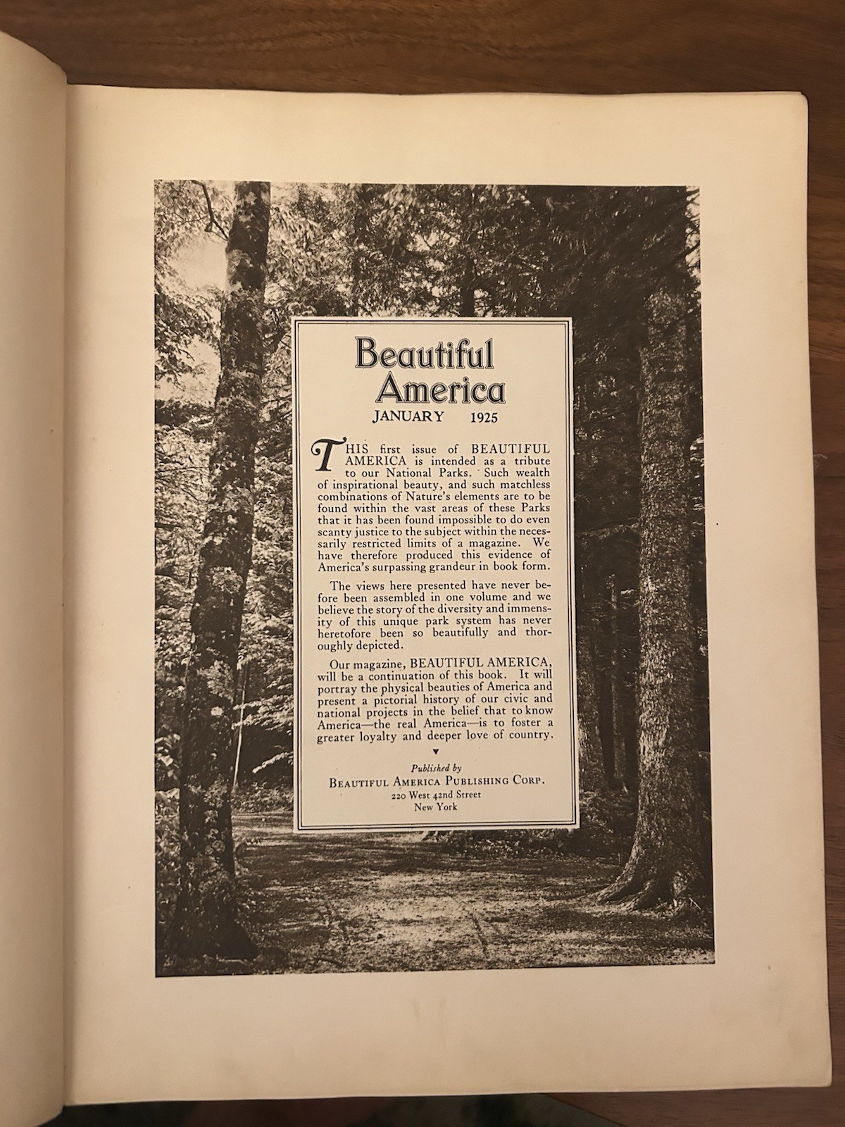 1924 Beautiful America Our National Parks Hard Cover Book 160 Pages First Ed.