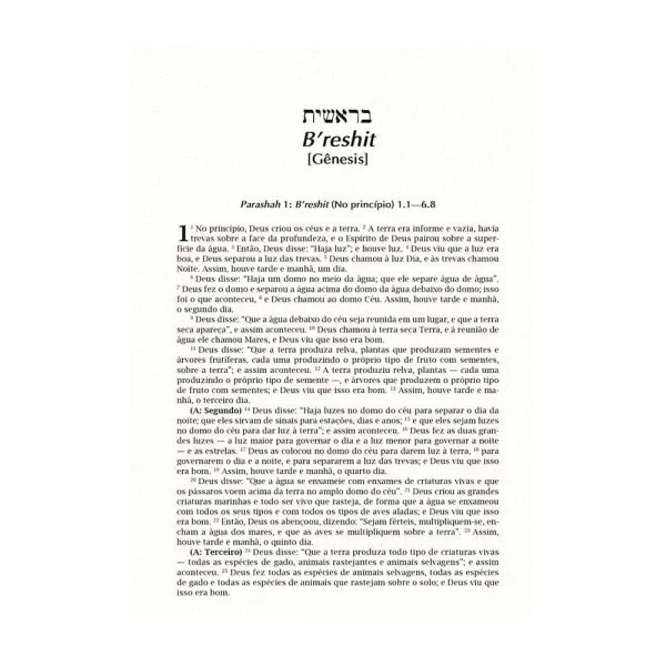 Biblia Judaica: Completa – Capa: Dura (Em Portugues do Brasil)