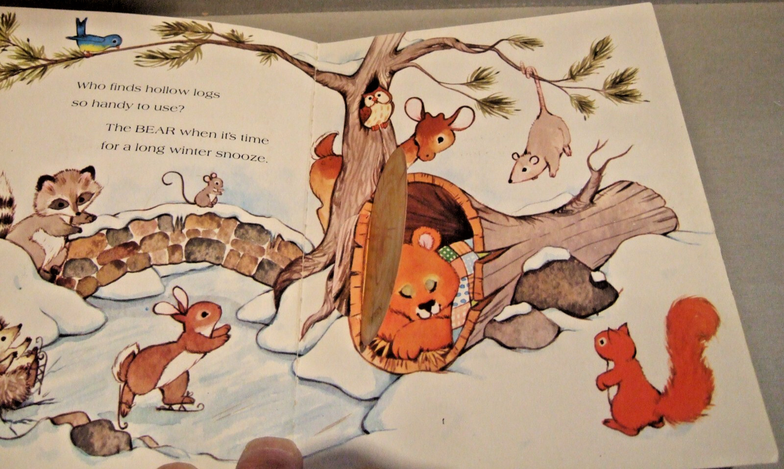 7 CHILDREN’S BOOKS LOVE BUGS, WHOSE HOUSE, AMAZING SENSES, CLOCK SHOP, 10 IN