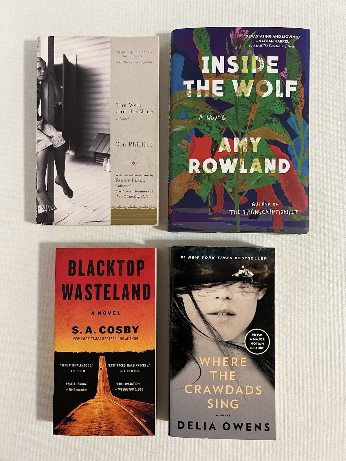Southern Gothic Noir Lot Gillian Flynn Delia Owens S A Cosby Gin Phillips Wolf
