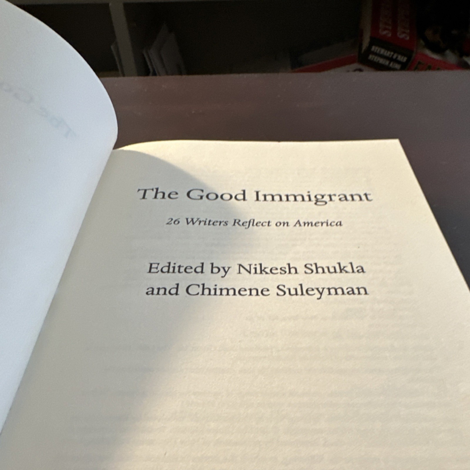 Little, Brown Good Immigrant 26 Writers Reflect America Hardcover 2019