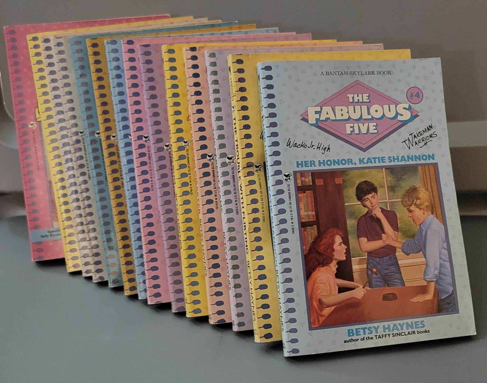 LARGE LOT OF 14! The Fabulous Five Betsy Haynes Vintage Paperback Chapter Books